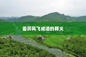 雷厉风飞成语的释义