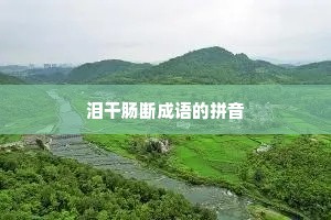 泪干肠断成语的拼音