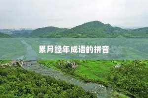累月经年成语的拼音