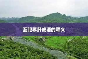 沥胆隳肝成语的释义