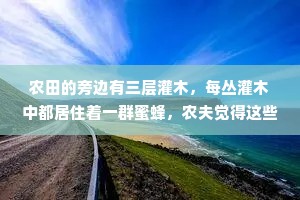 第三者情感经典语录英文（通用8篇）
