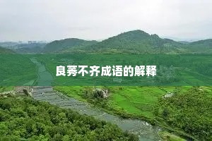 良莠不齐成语的解释