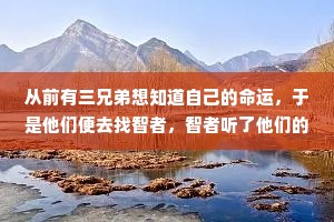 董卿说过情感的经典语录（通用8篇）