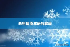 两相情原成语的解释
