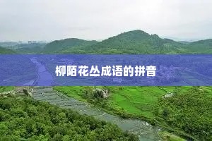 柳陌花丛成语的拼音