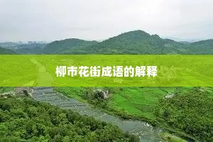 柳市花街成语的解释
