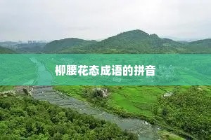 柳腰花态成语的拼音