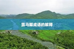 露马脚成语的解释