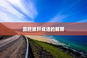 露胆披肝成语的解释