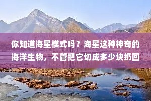 情感大叔经典语录（通用40句）