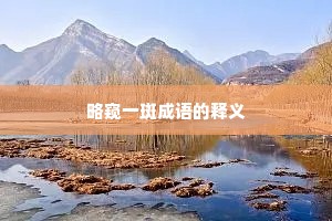 略窥一斑成语的释义