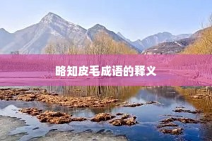 略知皮毛成语的释义