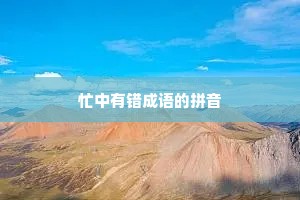 忙中有错成语的拼音