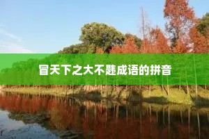 冒天下之大不韪成语的拼音