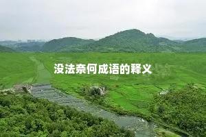 没法奈何成语的释义