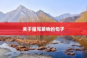 儿童成长蜕变的励志的句子（精选10篇）