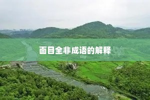 面目全非成语的解释