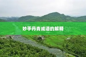 妙手丹青成语的解释