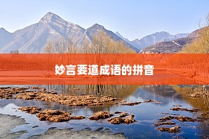 妙言要道成语的拼音