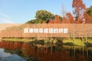 民康物阜成语的拼音