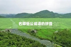 名卿钜公成语的拼音