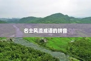 名士风流成语的拼音