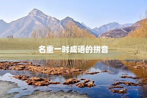 名重一时成语的拼音