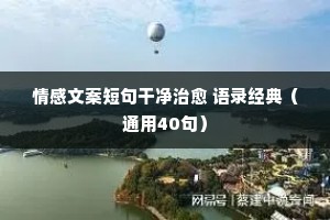 二十不惑的情感经典语录摘抄（精选8篇）