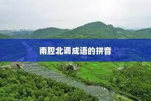 南腔北调成语的拼音