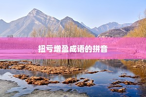 扭亏增盈成语的拼音 扭亏增盈成语的拼音