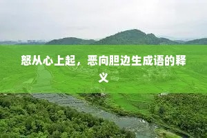 怒从心上起，恶向胆边生成语的释义
