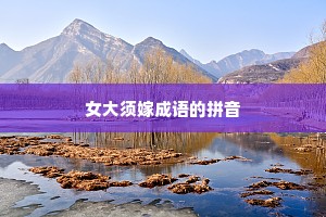 女大须嫁成语的拼音