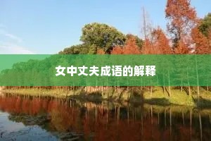 女中丈夫成语的解释