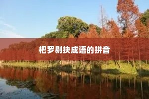 杷罗剔抉成语的拼音