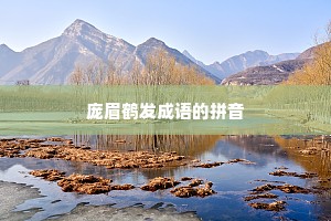 庞眉鹤发成语的拼音