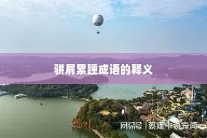骈肩累踵成语的释义