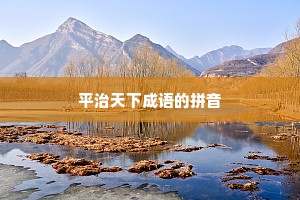 平治天下成语的拼音