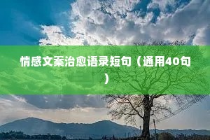夫妻情感经典语录文字搞笑大全（精选8篇）