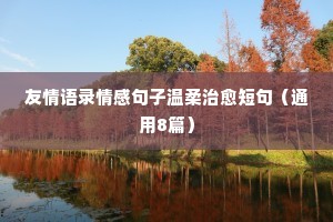 失去过情感的句子经典语录英文（精选40句）