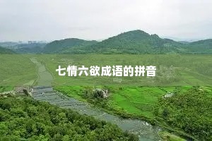 七情六欲成语的拼音