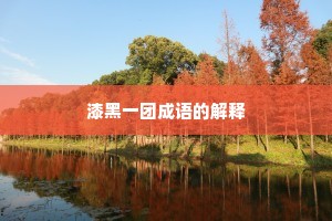 漆黑一团成语的解释