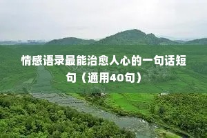 孟非情感经典语录大全（通用8篇）