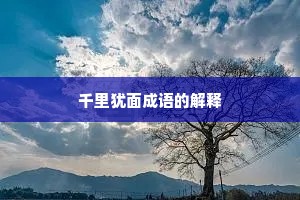千里犹面成语的解释