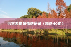 情感经典语录失望的句子短句（精选8篇）