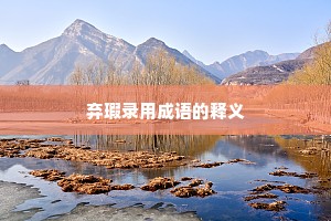 弃瑕录用成语的释义
