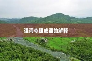 强词夺理成语的解释