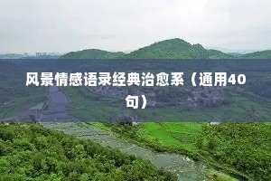 抖音情感经典语录怎样收藏起来（精选8篇）