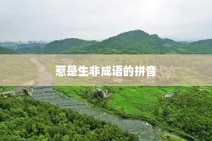 惹是生非成语的拼音