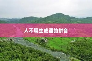 人不聊生成语的拼音
