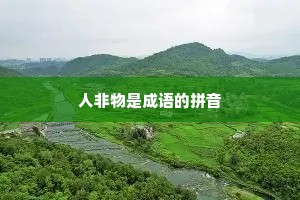 人非物是成语的拼音